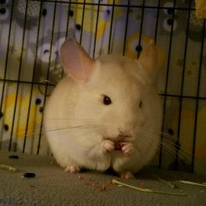 Meet your Posher, Aimee